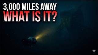 They Found Something at the Bottom of the Pacific...