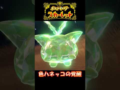 【ポケモンスカーレット】色ハネッコの覚醒