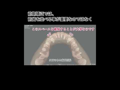 YouTube動画