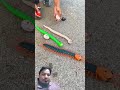 kids Toys #rcsnake #fishing #snake #experiment #toys #ruhulshorts #funny #fish #art #explore #diy