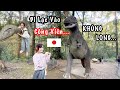 Hú Hồn Chim Én Vợ Nhật Megumi Đòi Combat Với Khủng Long | Lại Vào Vườn Thú Kỷ Jura Saitama Nhật Bản