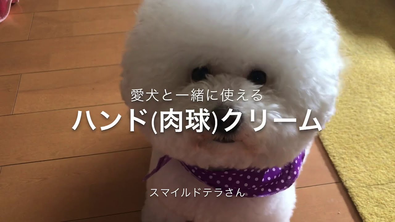 愛犬と一緒に使えるハンドクリーム 肉球クリーム Youtube