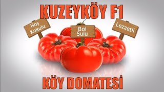Kuzeyköy F1 - Yarı Sırık Hibrit Köy Domatesi Reklam Videosu