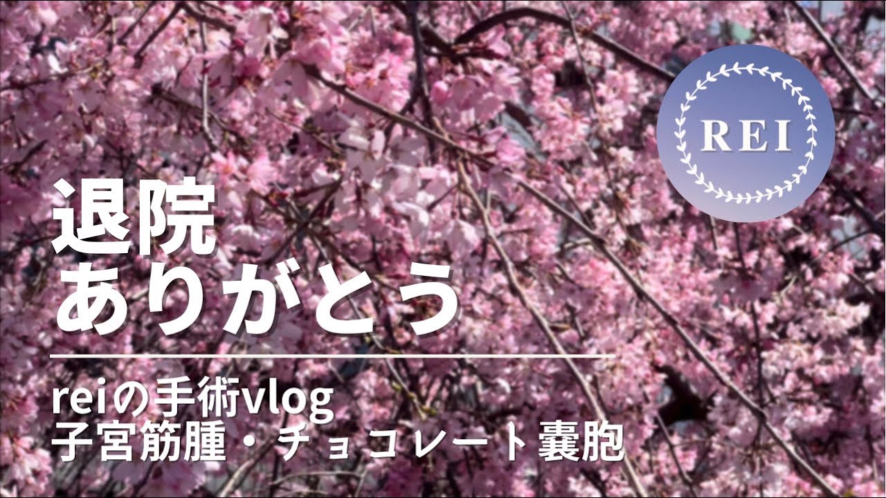 手術vlog20 退院の日 【子宮筋腫・子宮内膜症・子宮腺筋症】