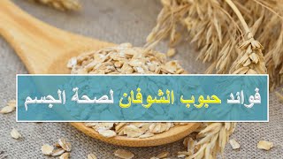 فوائد حبوب الشوفان لصحة الجسم