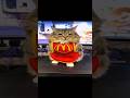 Кот стал легендой... #cat #cats #catvideos #catshorts #catlife #catvideo #catmemes #кот #котики