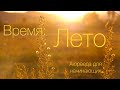 Время: Лето. Аюрведа для начинающих.