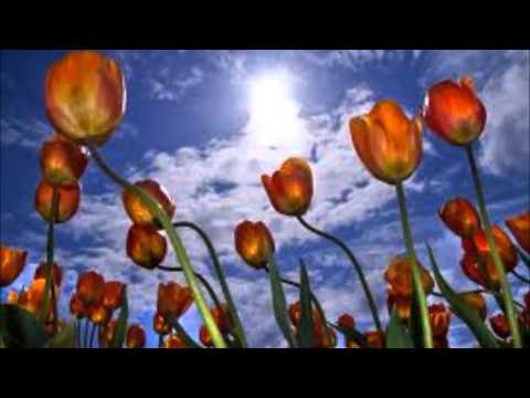 محمود سعد درويش سورة الرعد