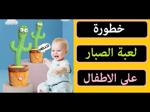 الصبارة الراقصة في مصر  | اسعارها ومحاطرها علي الاطفال