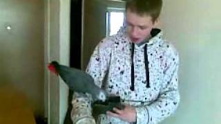 20110409.mp4