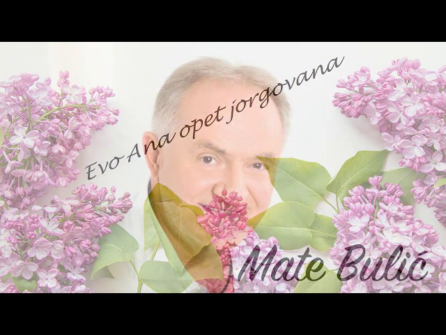 Mate Bulic - Evo Ana opet jorgovana