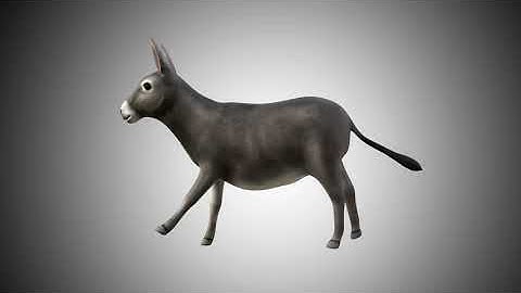 DONKEY 3D MODEL RIGGED AND LOW POLY AR VR VFX Game Ready Model