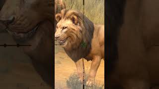 Shooting animals game | catching a Lion screenshot 2