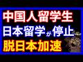 5/6 中国政府がまた反日。日本との交換留学停止に踏み切り脱日本加速へ