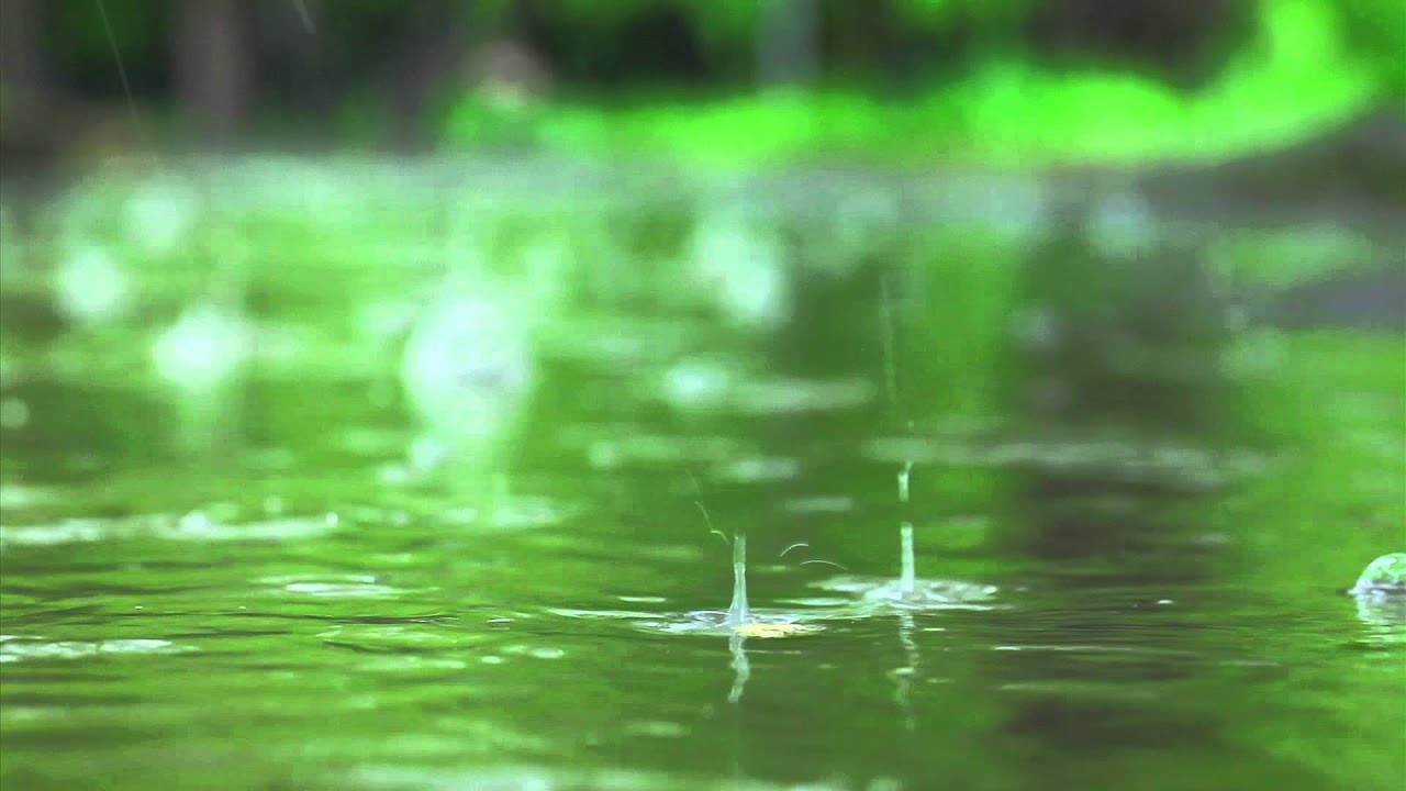 美しい雨の映像 癒しの風景シリーズ Youtube