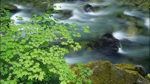 سورة الليل بصوت القارئ زكرياء عبد الله غازيوي