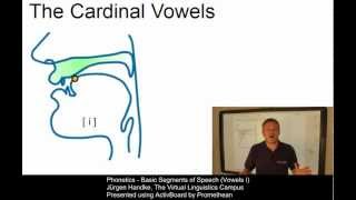 PHO107 - Basic Segments of Speech (Vowels I)