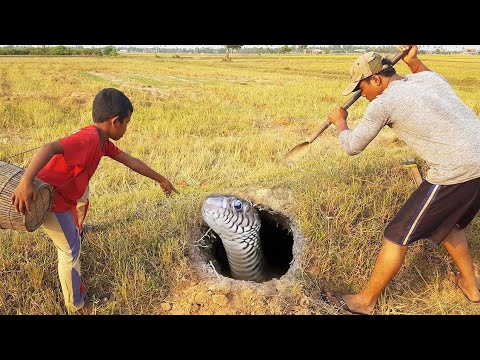 How to catch a snake with your hands - Prank