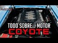 La nueva estrella! Aprende // Todo Sobre... Motor Coyote // Su historia y porque es tan bueno..