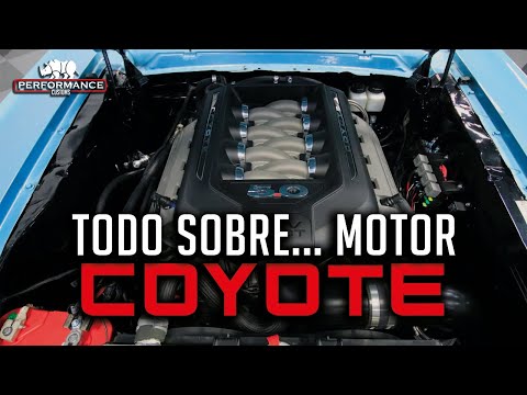 Vídeo: Què és el 5.0 Coyote?