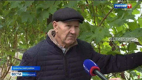Садовод-любитель доказал, что в Чувашии можно выращивать теплолюбивые растения и получать неплохой у