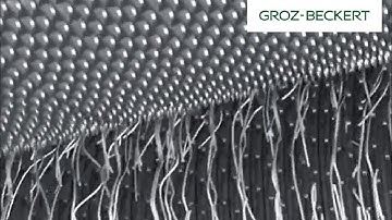 Functions in Carding: Transferring