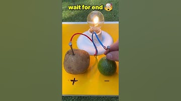 Potato and Lemon Battery | DIY Experiment #youtube #shorts
