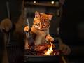 شاهد مادا يفعل القط في 😱😭#مياو #animals #cat #cute #coking