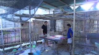 Reisefleisch Batik Factory