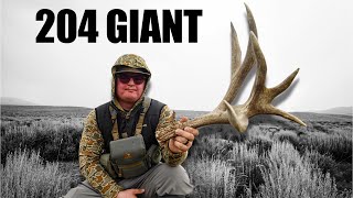 GIANT MULE DEER SHEDS | SHEDHUNT [EP 17]