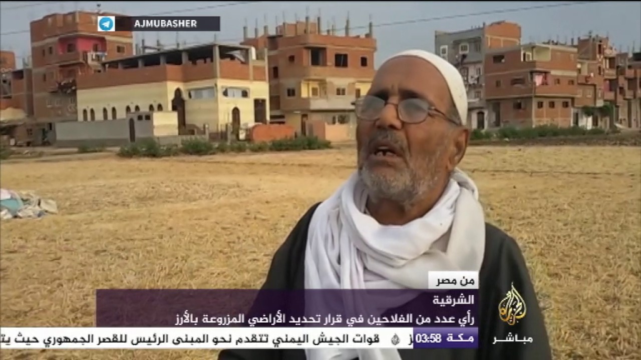 من مصر|| رأي عدد من الفلاحين في قرار تحديد الأراضي المزروعة بالأرز