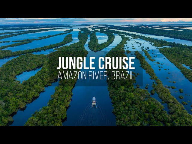 Rainforest in Brazil - Jungle Cruise on the  River 