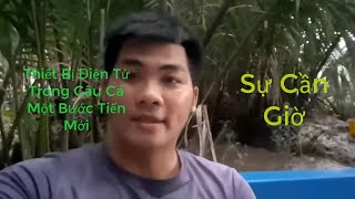 Sự Cần Giờ |Thiết Bị Điện Tử Trong Câu Cá: Một Bước Tiến Mới