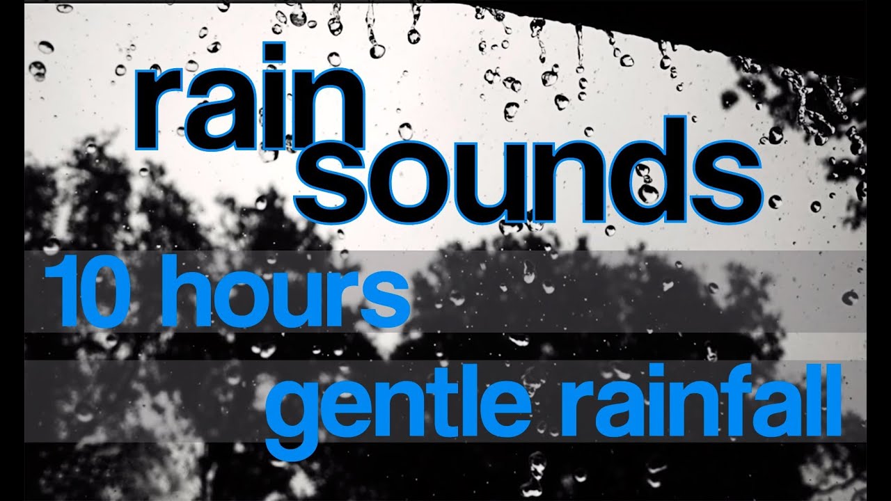 Rain hits. The Sound of Rain перевод.