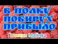 Деревенский дневник очень многодетной мамы /В полку Побирух прибыло /Женя Б /Обзор /