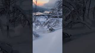 2017 Arctic Cat M8000 Jaws Twinpipes