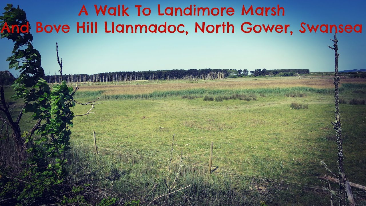 A Walk to Landimore Marsh and Bove Hill, Llanmadoc, North Gower ,Swansea