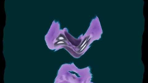 bonzi com is offline in g major 1360