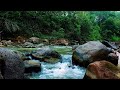 Best White Noise for Sleeping – Peaceful River Ambience All Night