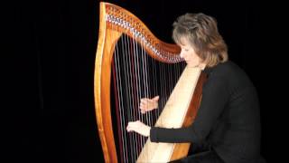 Dusty Strings FH34 harp in koa
