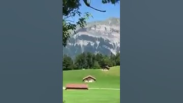 مزمار من مزامير داوود عليه السلام إيات بينات من سورة المائدة