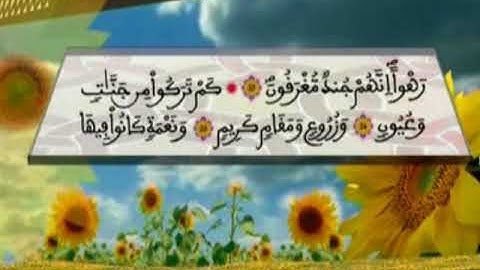 سورة الدخان محمد الطيب حمدان