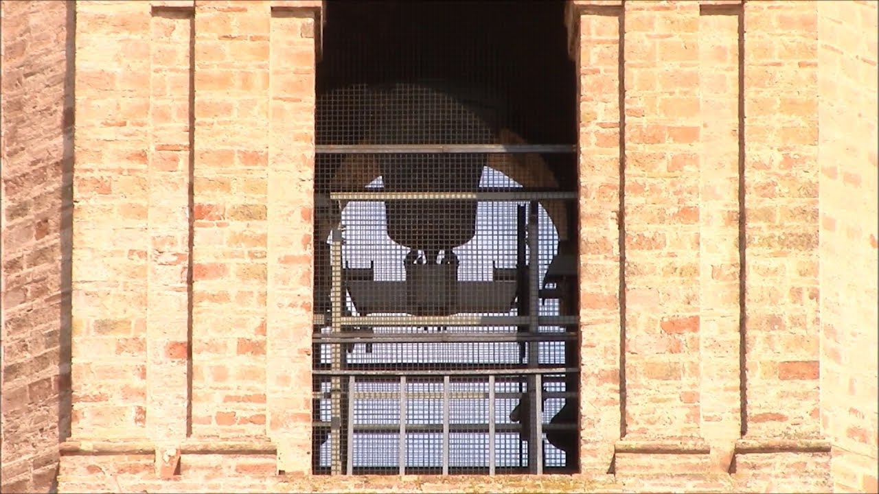 Campane della Collegiata di S.M. Maggiore in Bettona (PG) (03) v.524