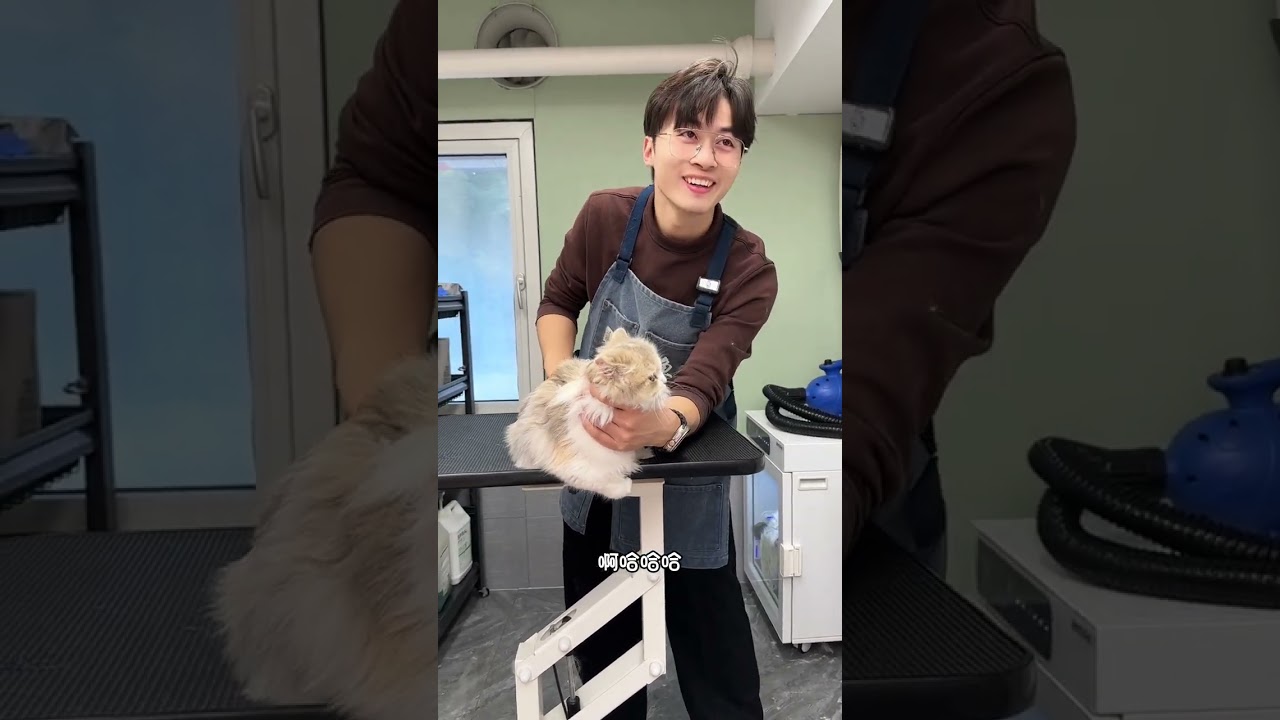 Why Your New Haircut Might Outrage You - Pray for Me