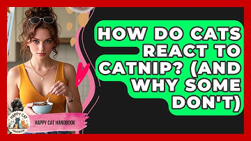 How Do Cats React To Catnip? (And Why Some Don