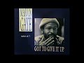 Marvin Gaye ~ Got To Give It Up 1977 Disco Purrfection Version