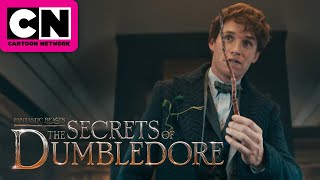 Are You Kidding Me? | SNEAK PEEK | Fantastic Beasts: The Secrets of Dumbledore | Cartoon Network