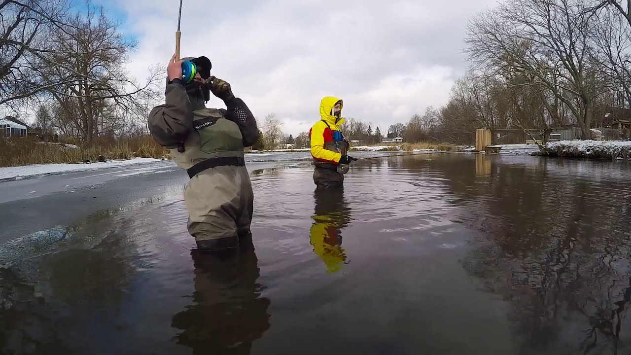 Cobourg Steelhead Fishing | Snowfall Steelies