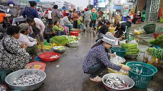 Morning Fish Market Scene In Cambodia - Plenty Alive Fish, Ants, River Fish &amp; More Seafood