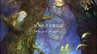 الأغنية اليابانية الهادئة "البومة" مترجمة |  KOKIA - Fukurou フクロウ